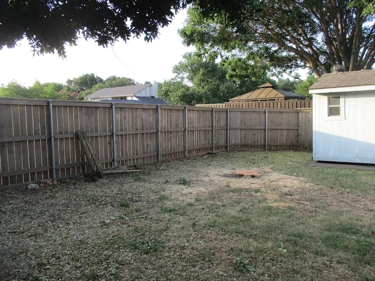 Cleared yard after professional tree removal in Nerinx