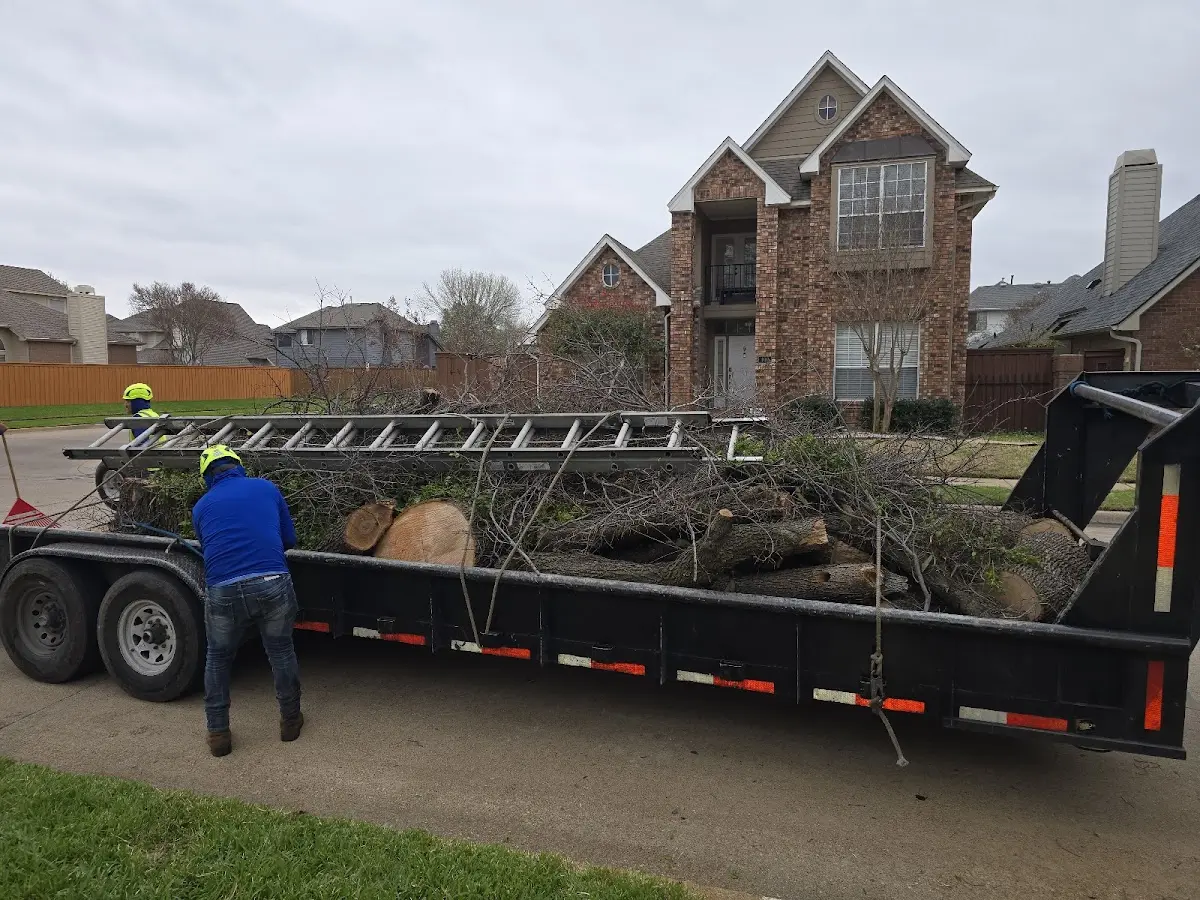 Expert Lot Clearing with proper safety equipment in Nerinx